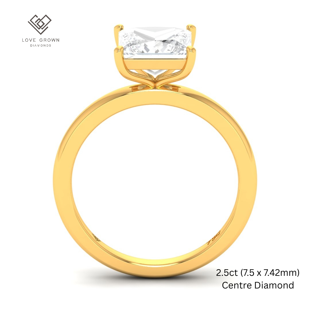 Noémie Solitaire Princess Cut With Diamond Engagement Ring