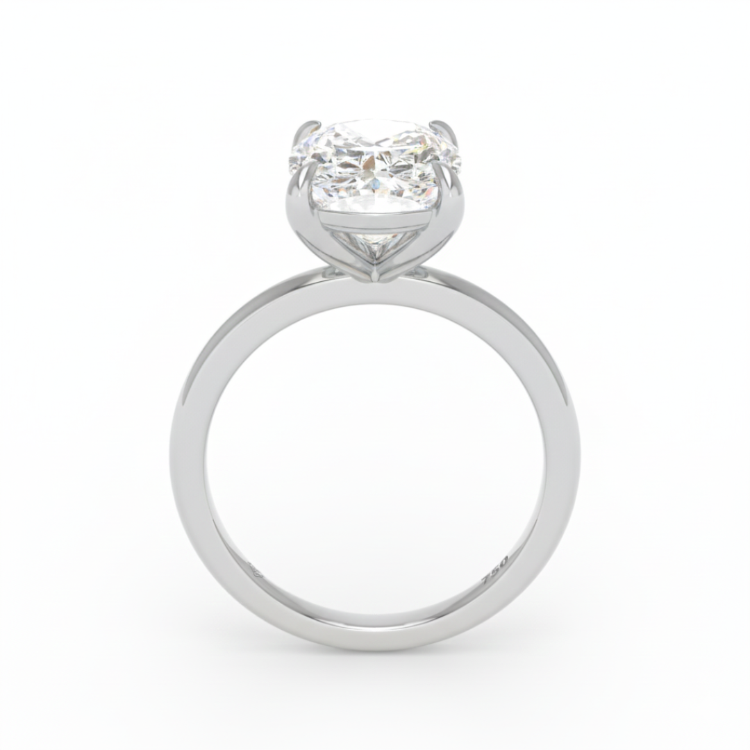 Noémie Solitaire Cushion Cut With Diamond Engagement Ring