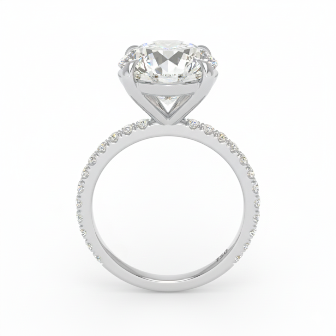 Abigail Round With Diamond Band Engagement Ring