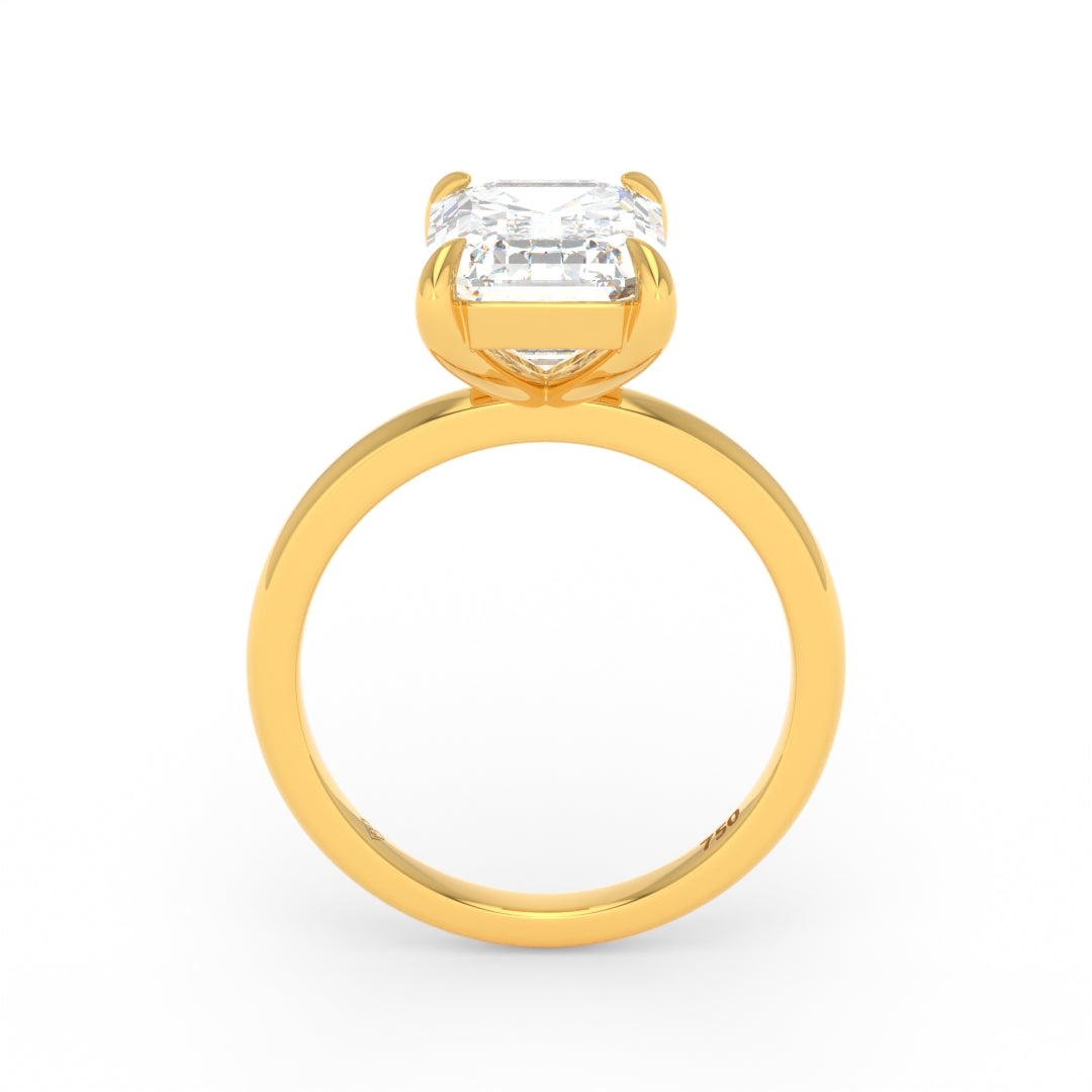 Noémie Solitaire Emerald Cut With Diamond Engagement Ring