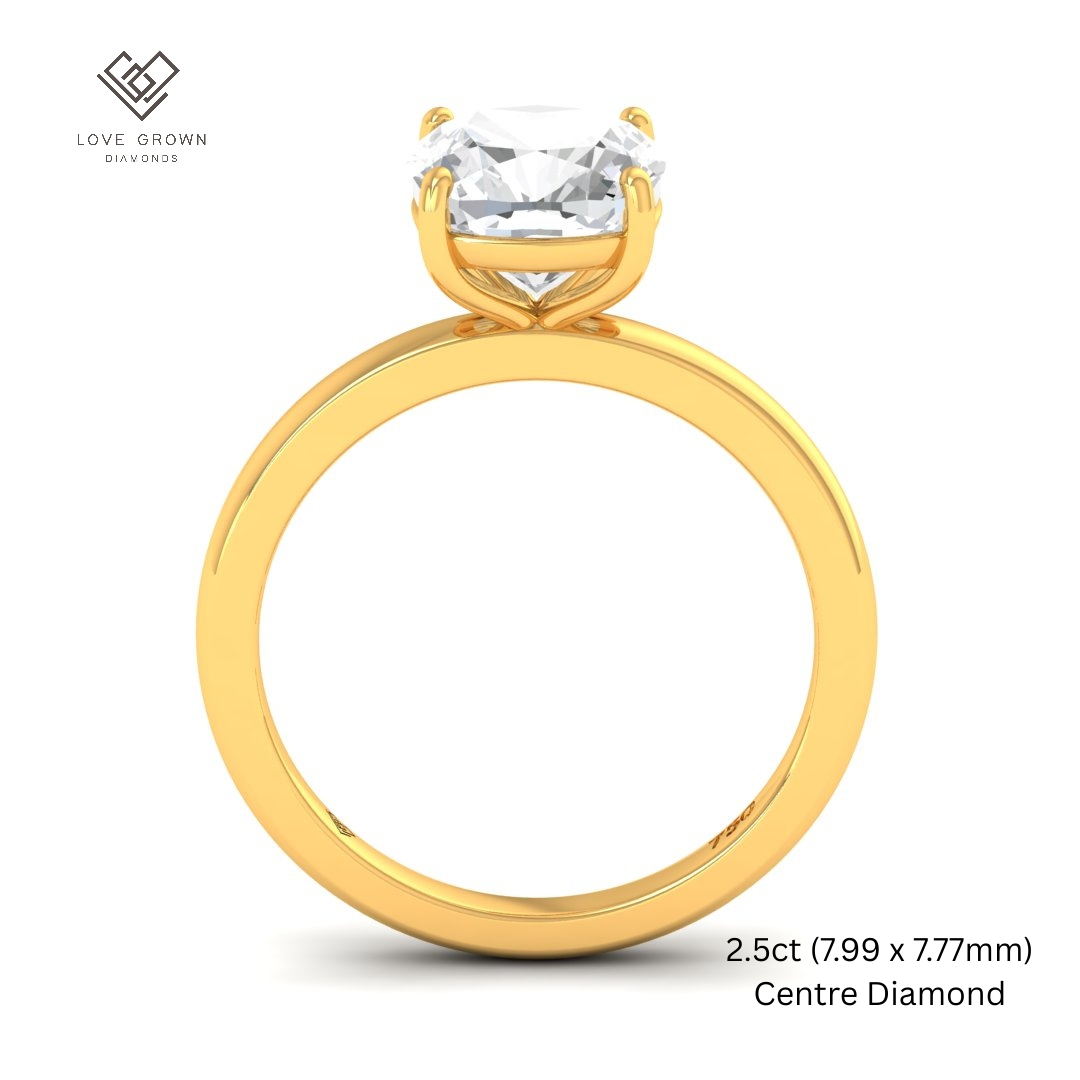Noémie Solitaire Cushion Cut With Diamond Engagement Ring