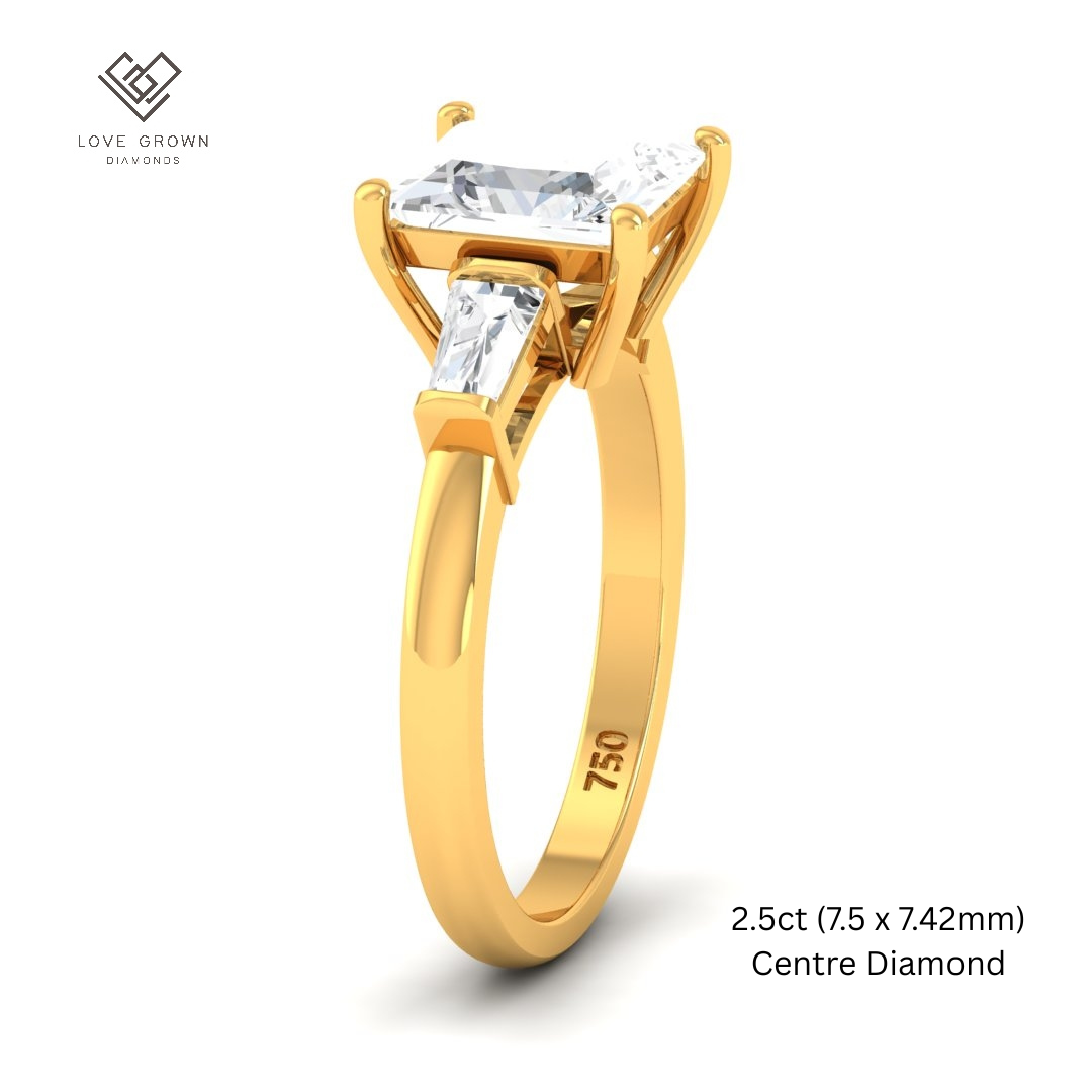 Mary Princess Cut Diamond Engagement Ring With Tapering Baguette Cut Side Diamonds
