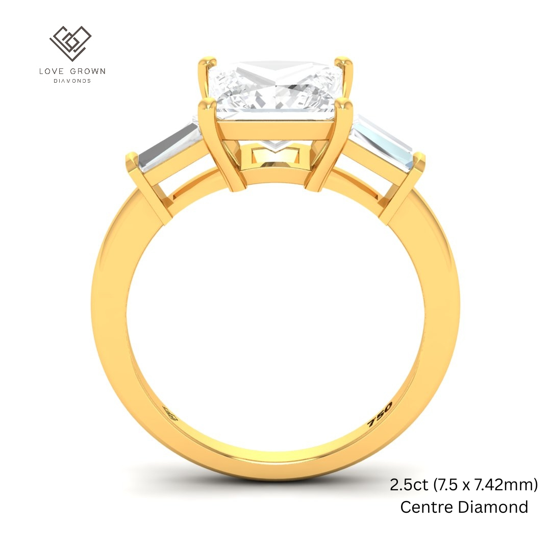Mary Princess Cut Diamond Engagement Ring With Tapering Baguette Cut Side Diamonds