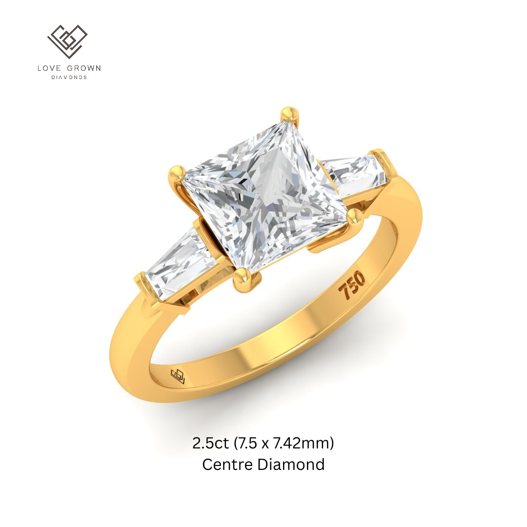 Mary Princess Cut Diamond Engagement Ring With Tapering Baguette Cut Side Diamonds