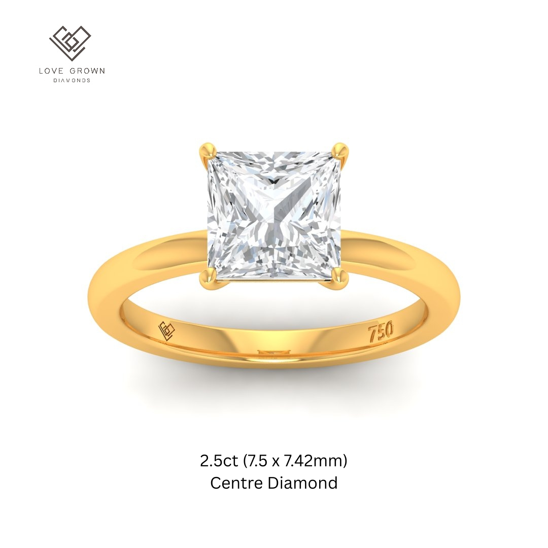 Noémie Solitaire Princess Cut With Diamond Engagement Ring