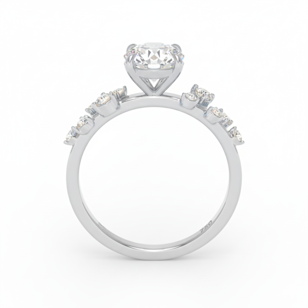 Layla Round Brilliant Cut Diamond Engagement Ring With Diamond Accent Band