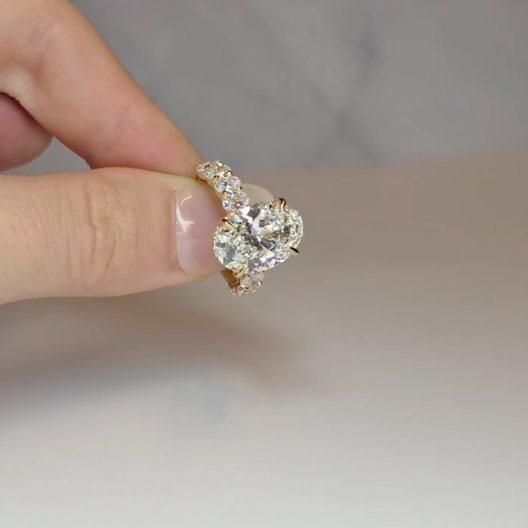 Vivien Oval Brilliant Cut Engagement Ring with Oval Brilliant Diamond Band and Wrap Around Hidden Halo