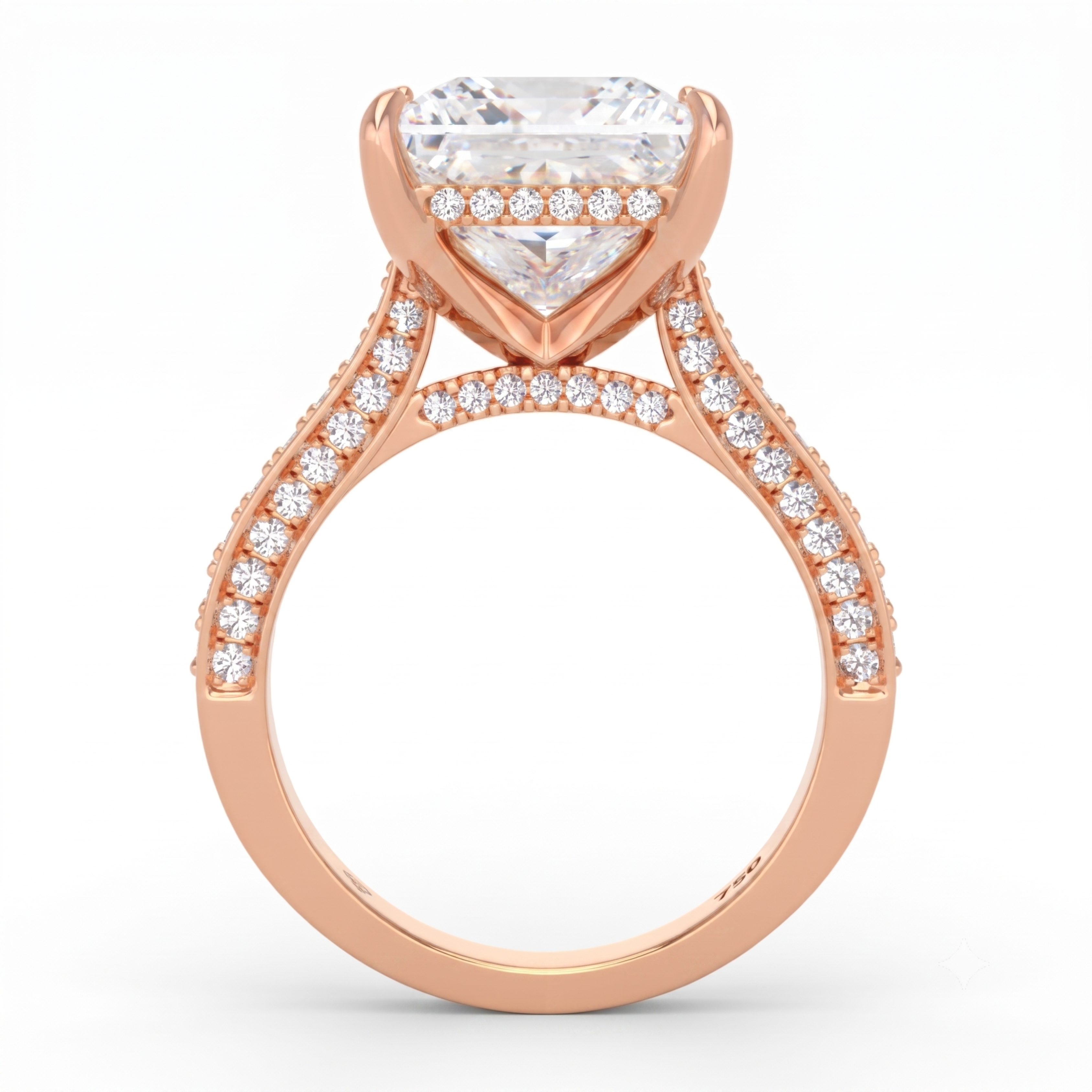 Katherine Princess cut engagement ring 3D Diamond Band