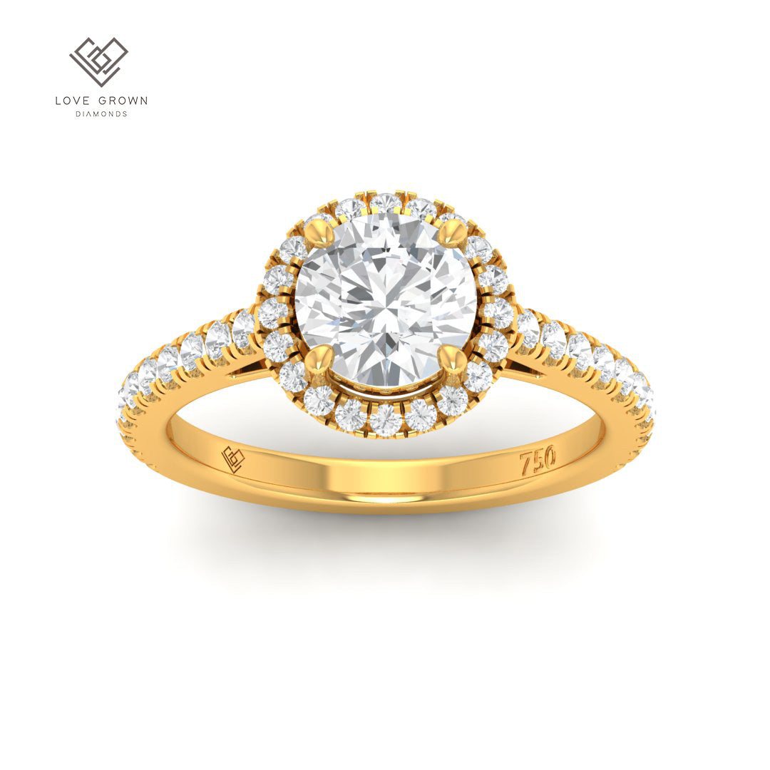 Bella Round Cut Diamond Engagement Ring with Halo and Diamond Band in Gold or Platinum.