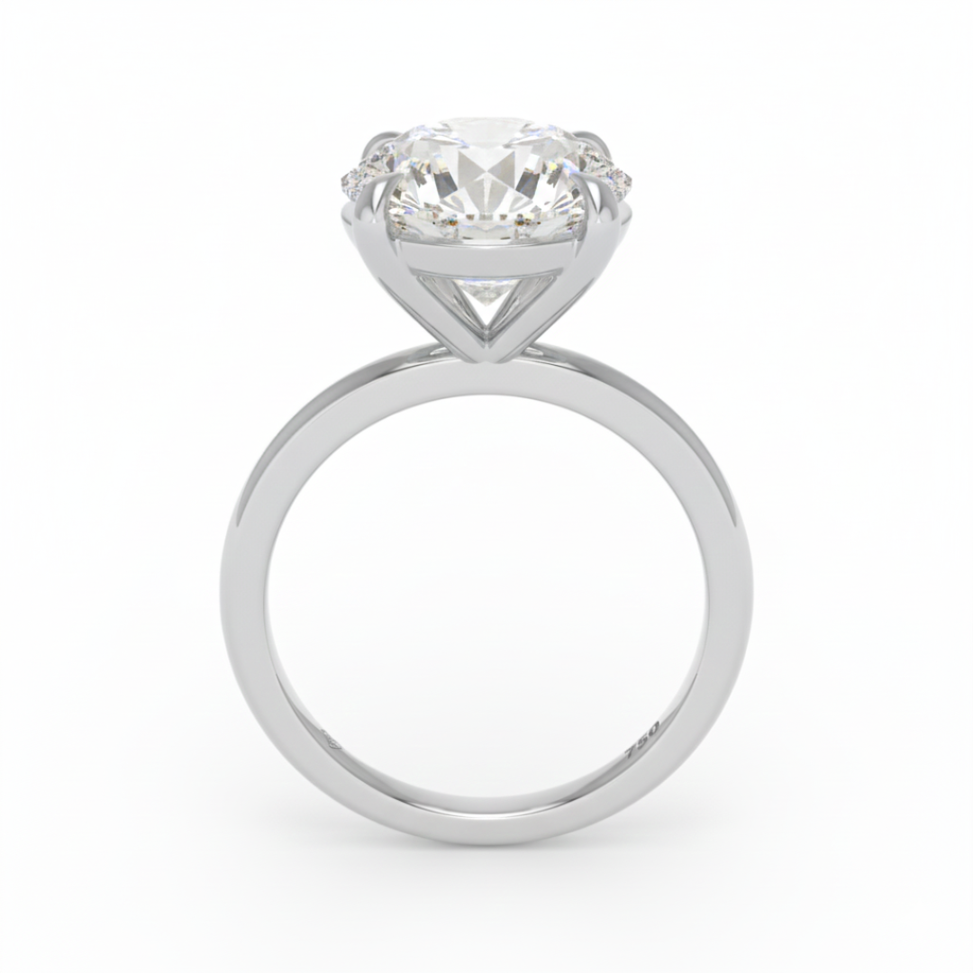 Noémie Solitaire Round Cut With Diamond Engagement Ring