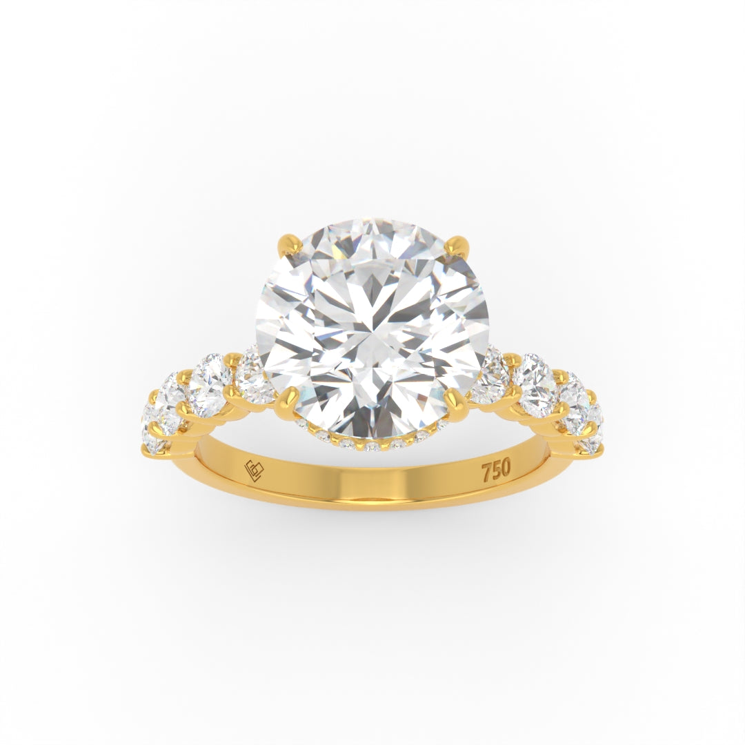 Vivien Round Brilliant Cut Engagement Ring with Round Brilliant Diamond Band and Wrap Around Hidden Halo