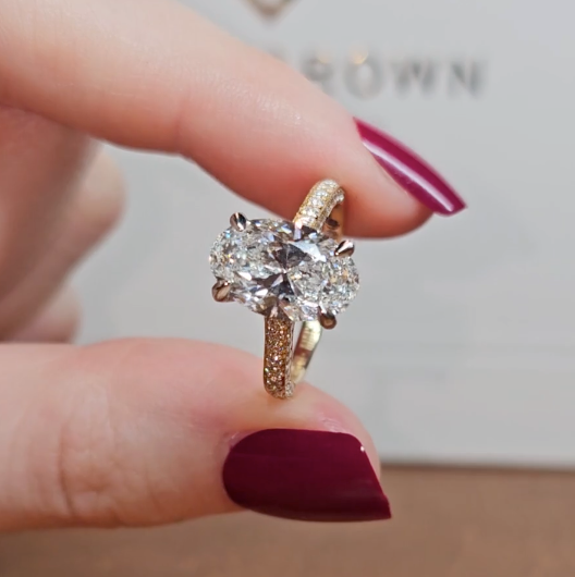 Katherine Oval Cut Engagement Ring 3D Diamond Band