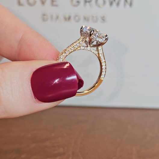 Katherine Oval Cut Engagement Ring 3D Diamond Band